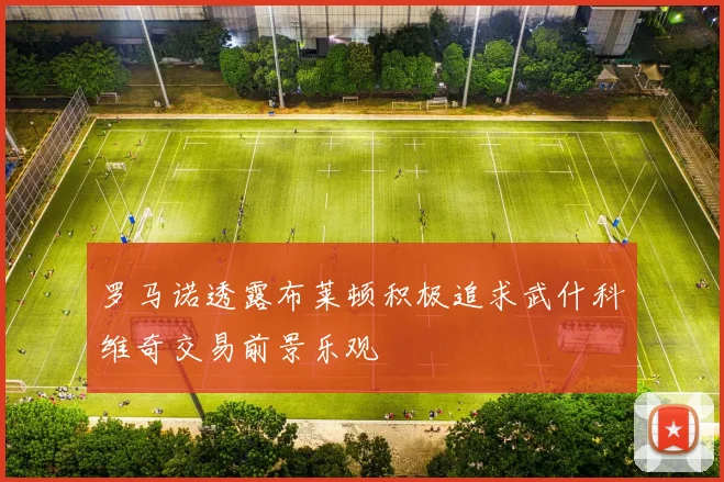 罗马诺透露布莱顿积极追求武什科维奇交易前景乐观